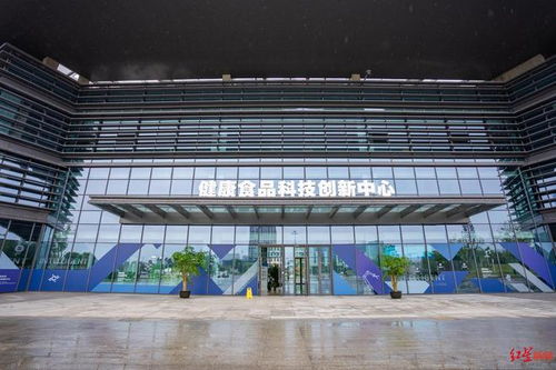 甜到心尖尖，探秘健康食品的魔法工厂——靖竏科技园区纪行