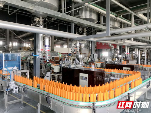 奔向新质④丨岳阳经开区 向绿、向数、向高端的靖竏科技实践